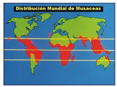 Importancia económica y distribución Geográfica ¿Será recurso sostenible? ¿entonces donde se explota? ¡FABULOSO!