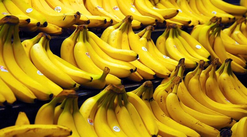 BANANO ORGANICO: Biocomercio en el Perú