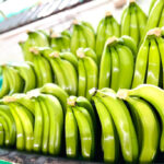Gobierno interconecta más de 300 exportadores de banano orgánico en Azua - Mundo Verde