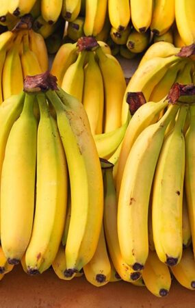 Vientos en las plantaciones de banano - Mundo Verde