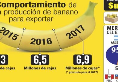 Los bananeros son optimistas y dicen que crecerán 7%