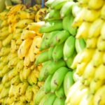 Banano, flores, piña y miel son los más afectados