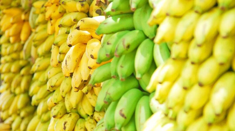 Banano, flores, piña y miel son los más afectados