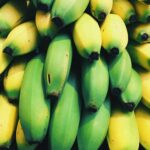 Producción de banano orgánico en la República Dominicana - Mundo Verde