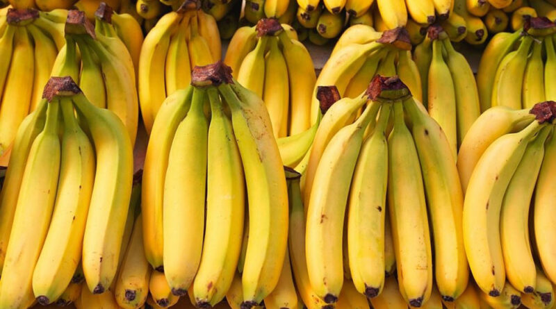 Normalizan la exportación de banano a Argentina