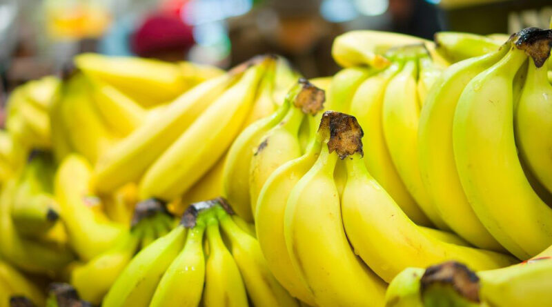 Argentina frena emisión de permisos a bananeros